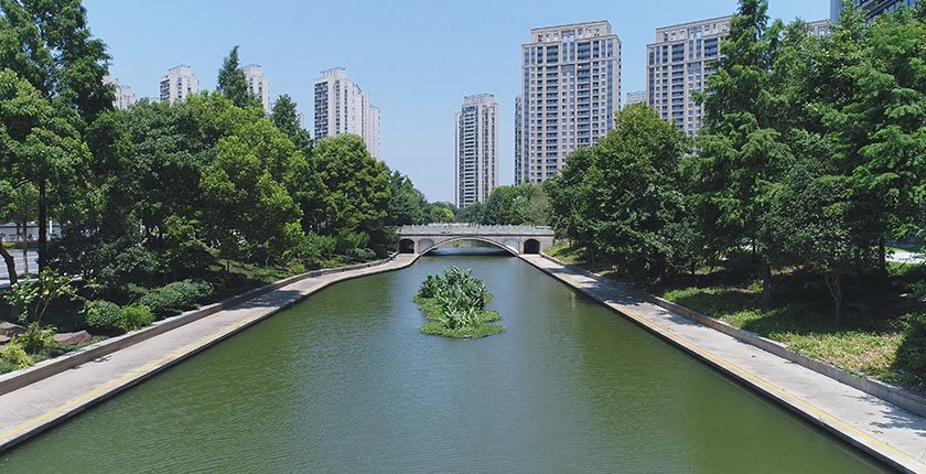 龙8官网登录入口