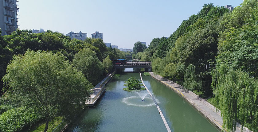 龙8官网登录入口