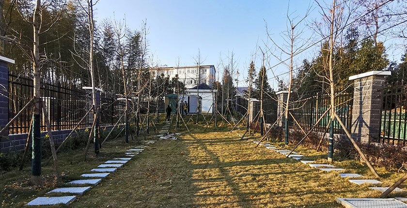 龙8官网登录入口