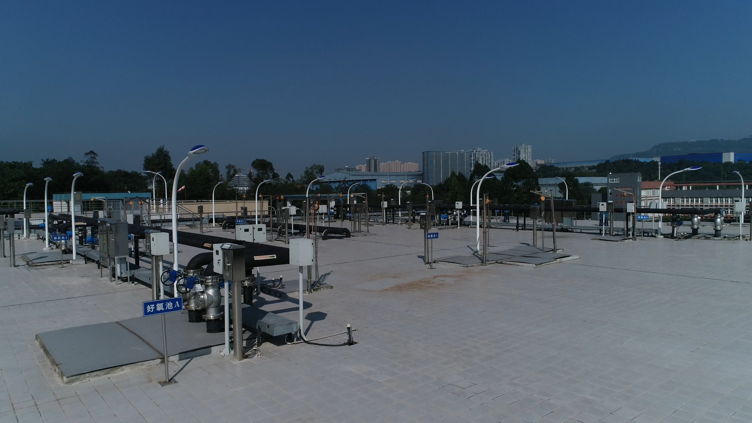 龙8官网登录入口